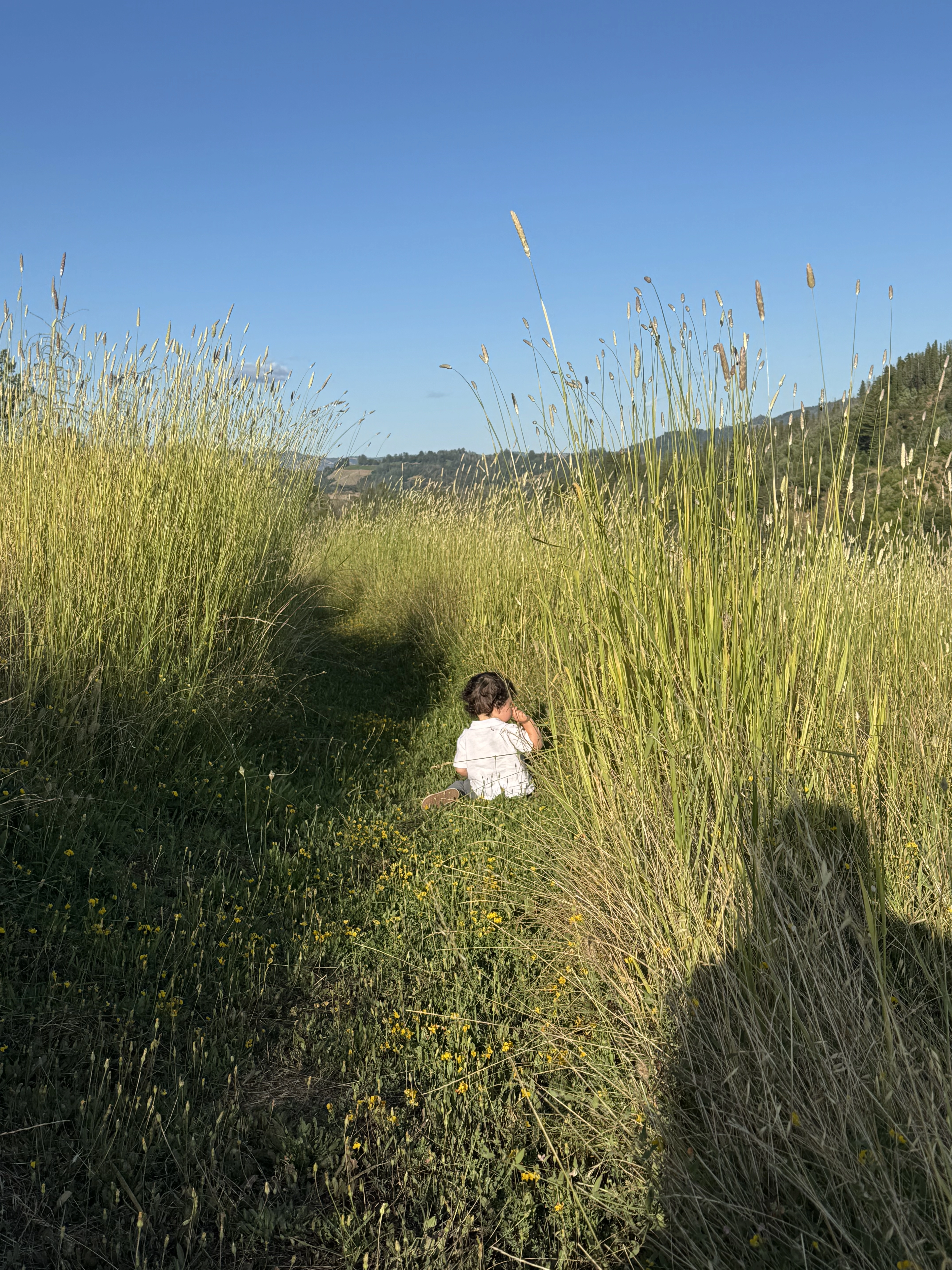 Reed B's cover image