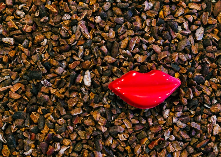 CarlaJ's cover image