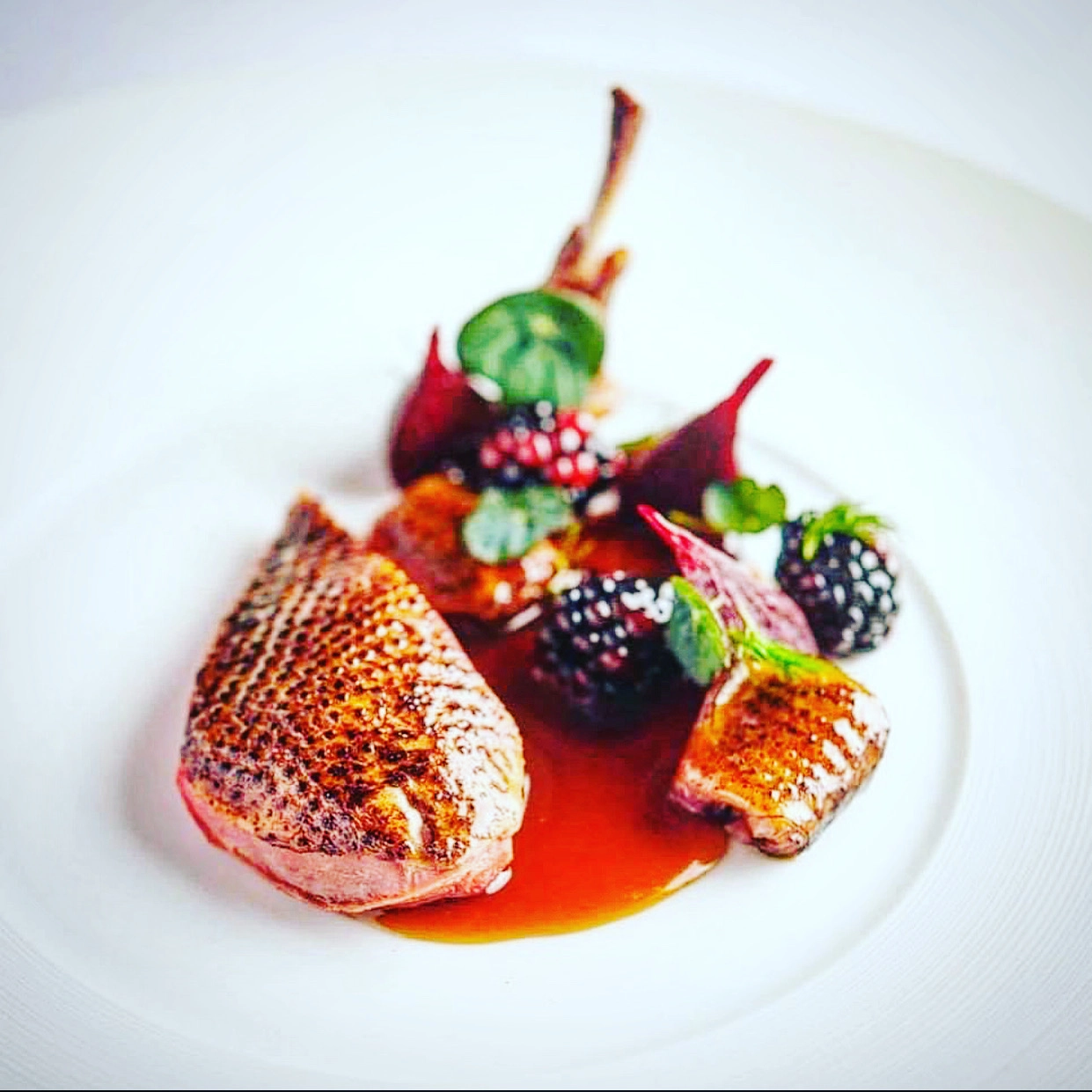 Chef Jess Steve R's cover image