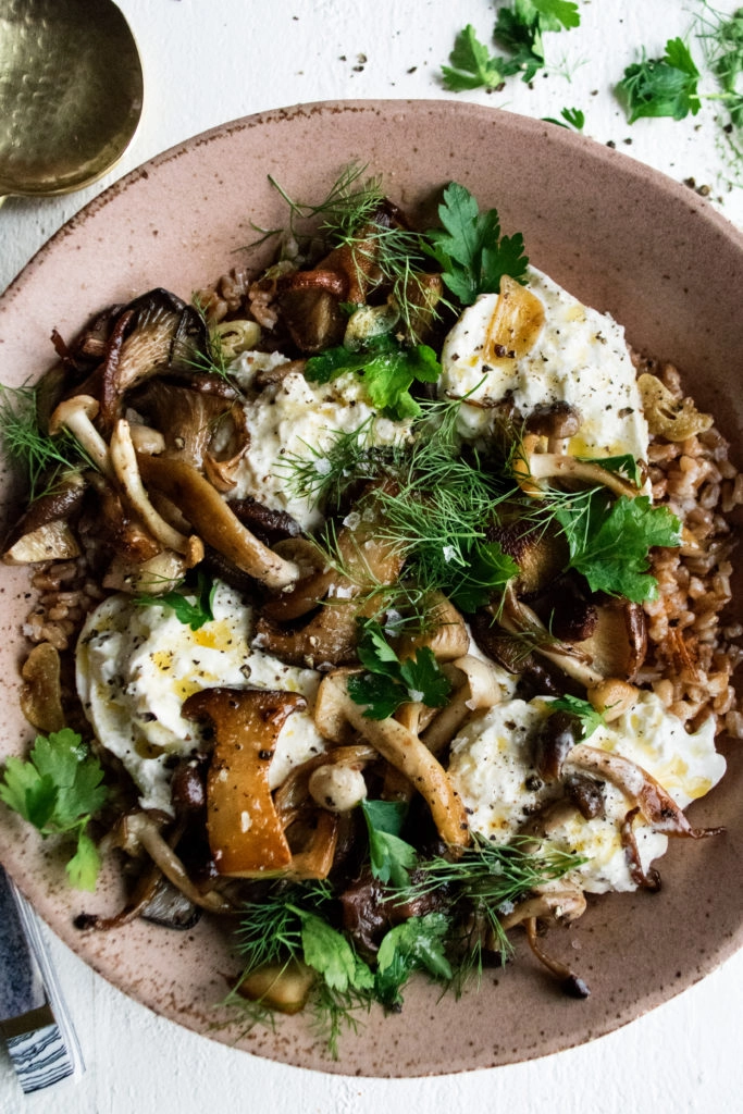 Truffle Mushrooms & Burrata