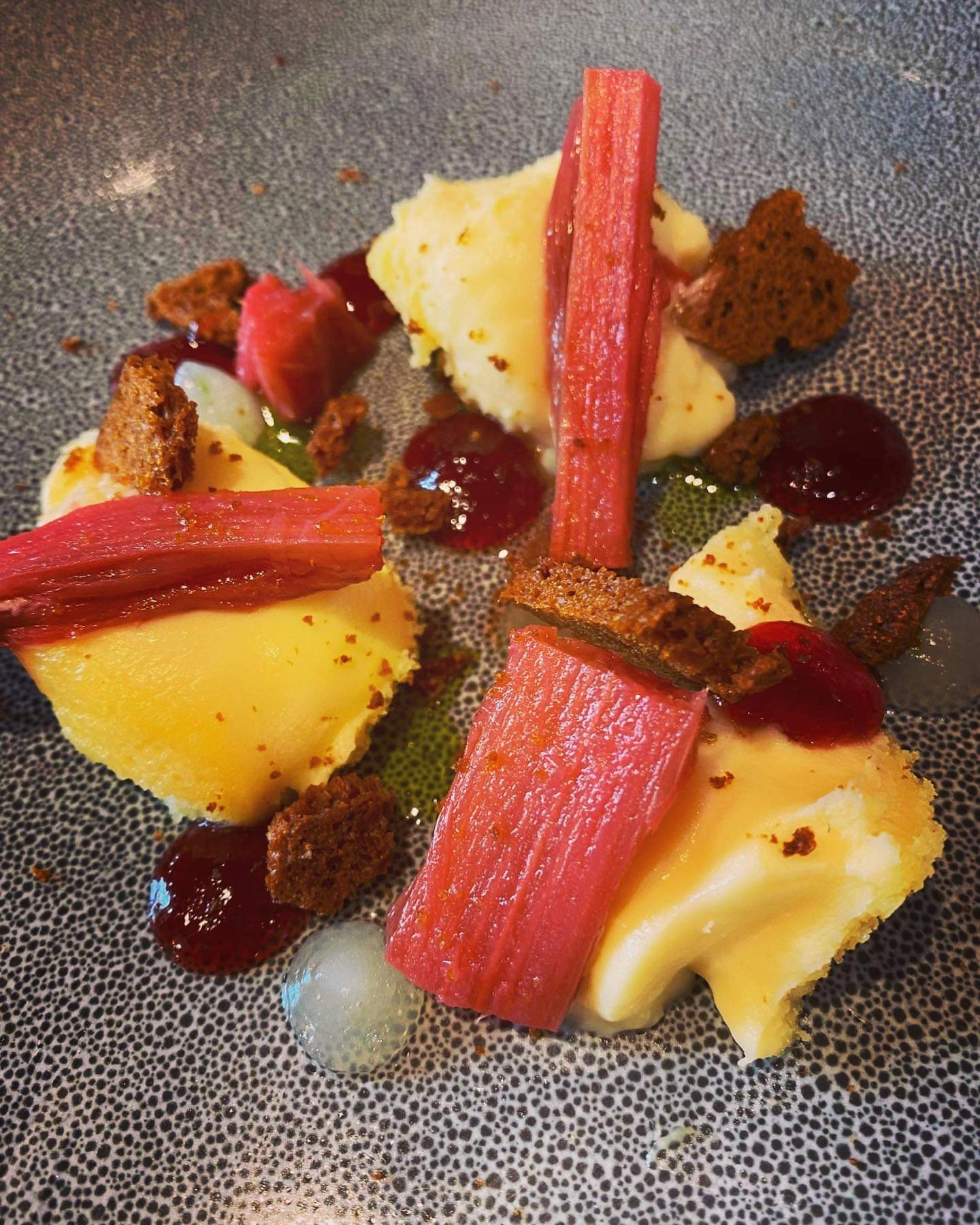Vanilla Bean Set Anglaise, Poached Rhubarb, Ginger Beer Gel & Gingerbread