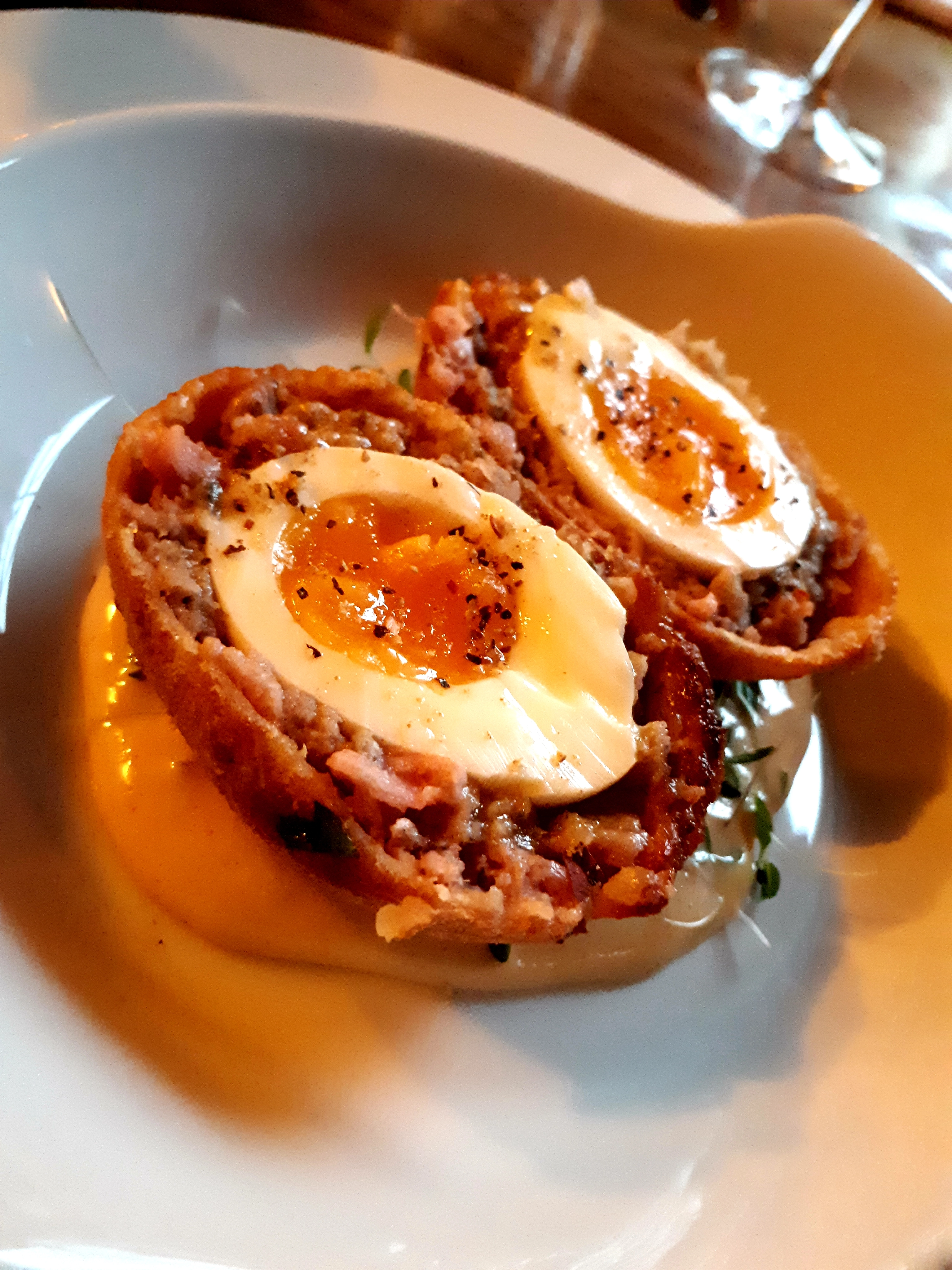 Scotch Egg