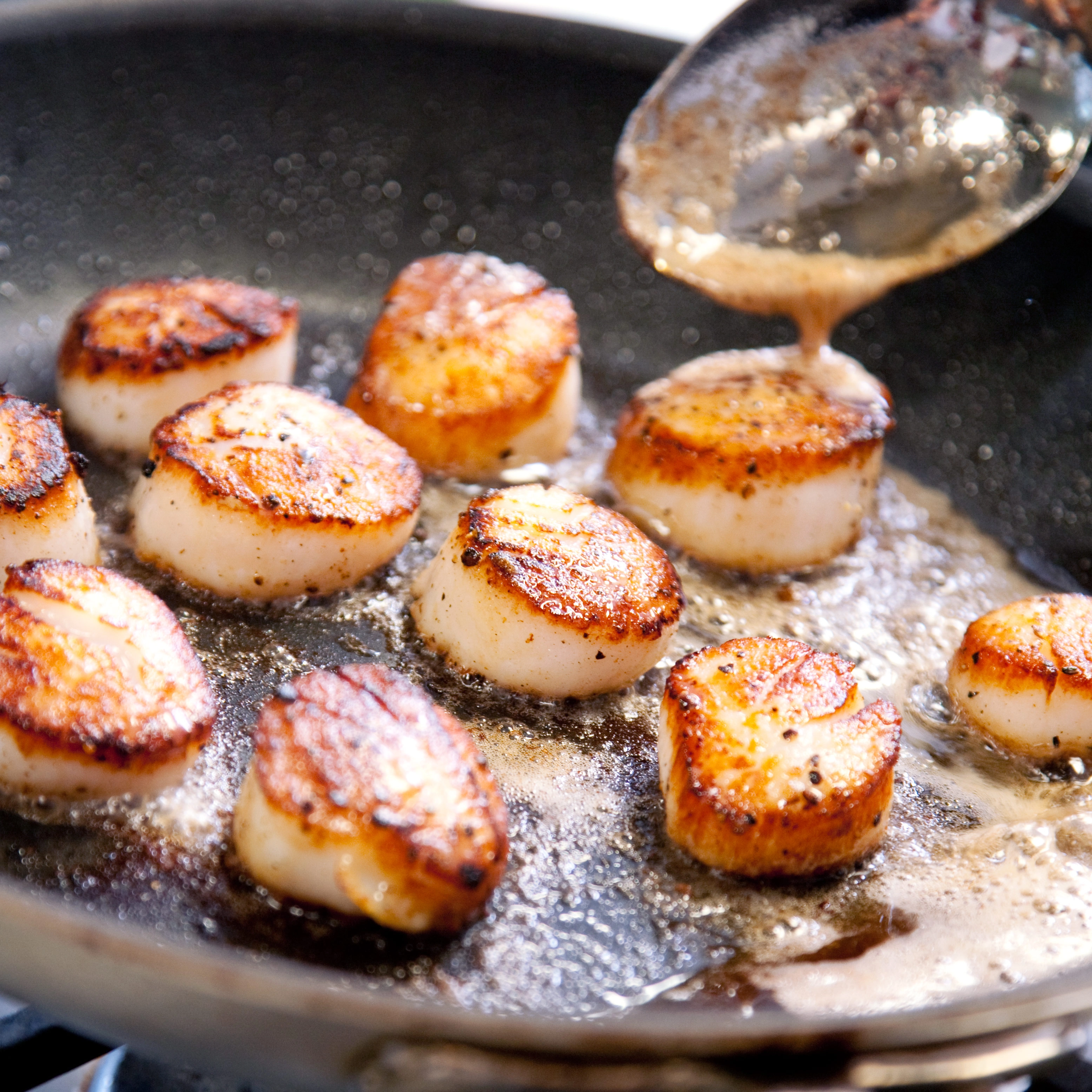 Pan Fried Scallops