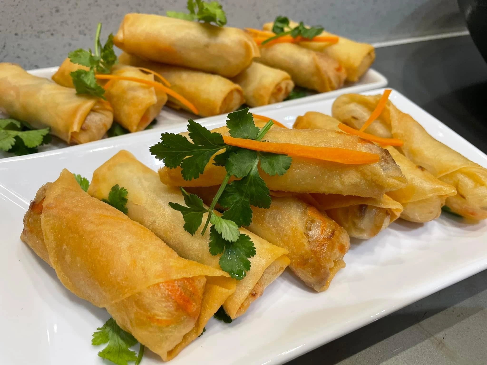 Pork And Veggie Spring Roll