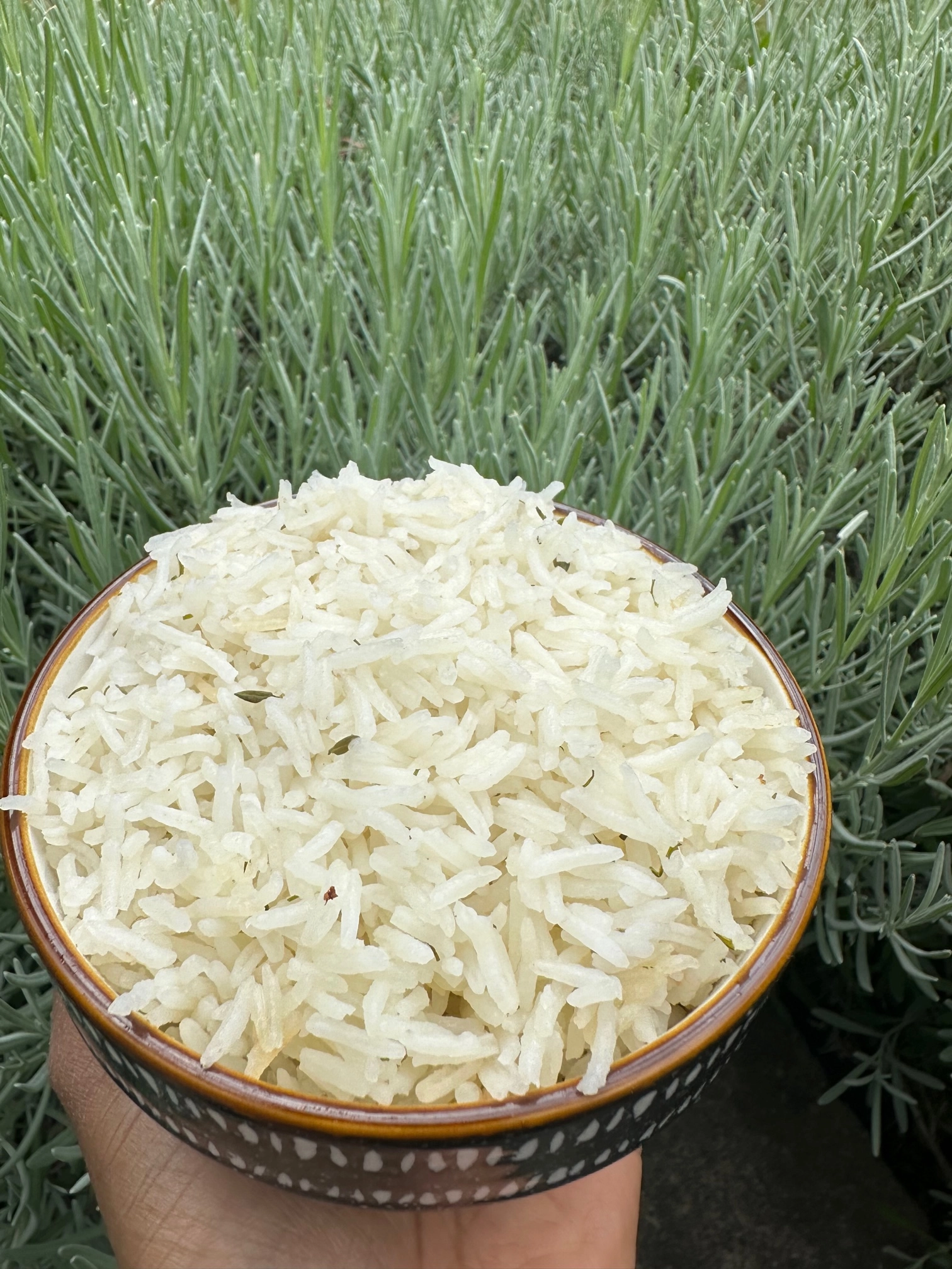 Basmati Rice