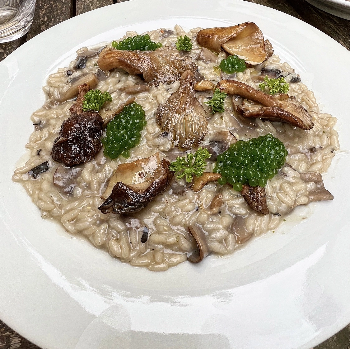 Wild Mushrooms Risotto
