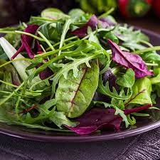 Italian Mix Leaf Salad  (Cherry Tomatoes, Cucumber, Avocado, Peppers) (Vegan)