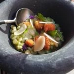 Raspberry Tart, Clotted Cream, Nougatine