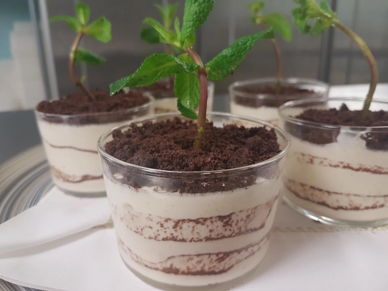Classic Tiramisu  Flower Pot