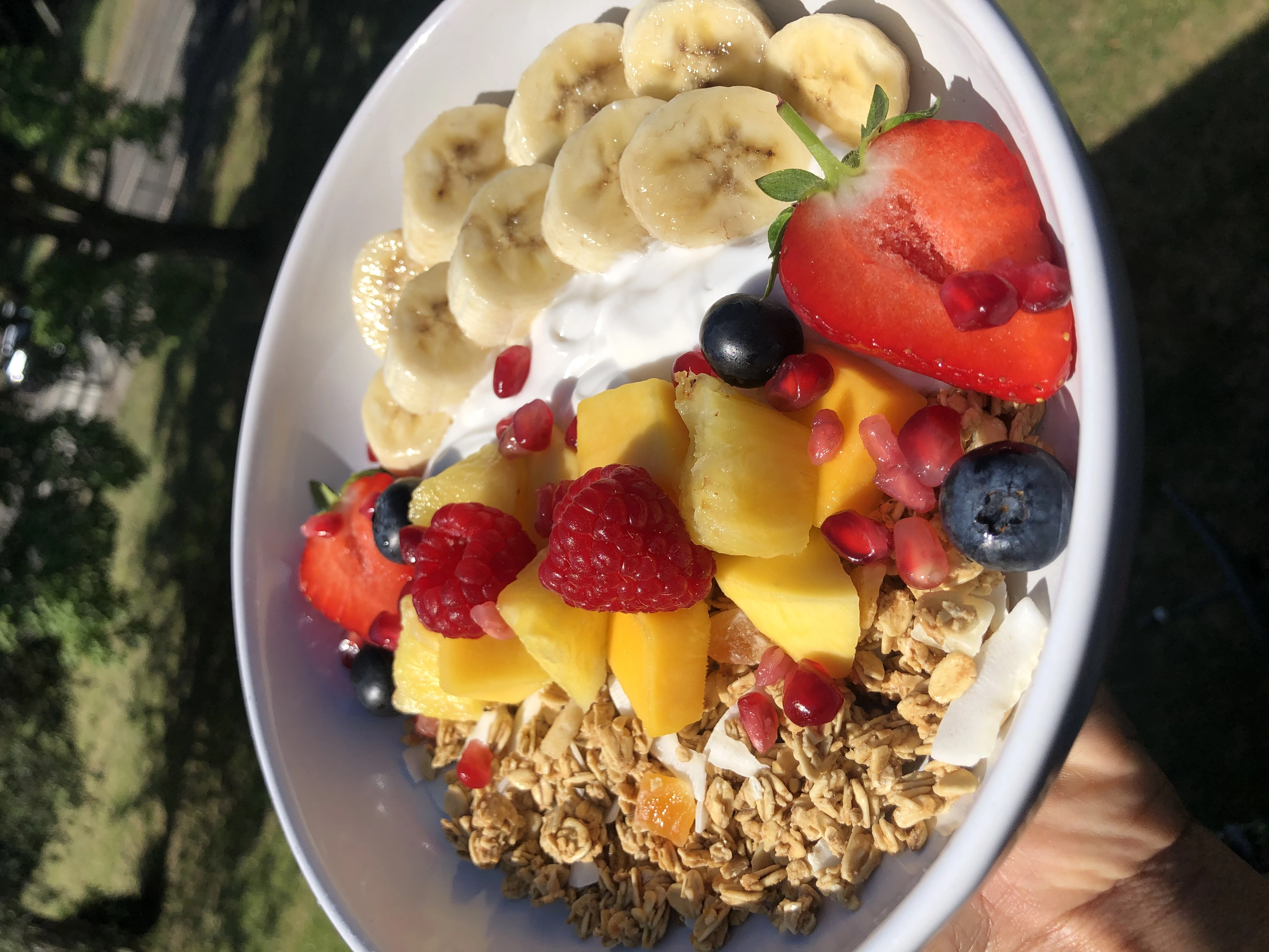Granola, Greek Yoghourt, Honey & Fresh Fruits Bowl