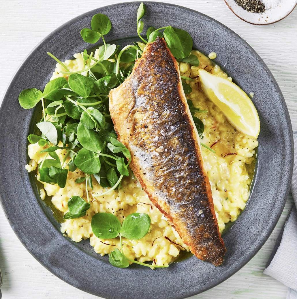 Sea Bass