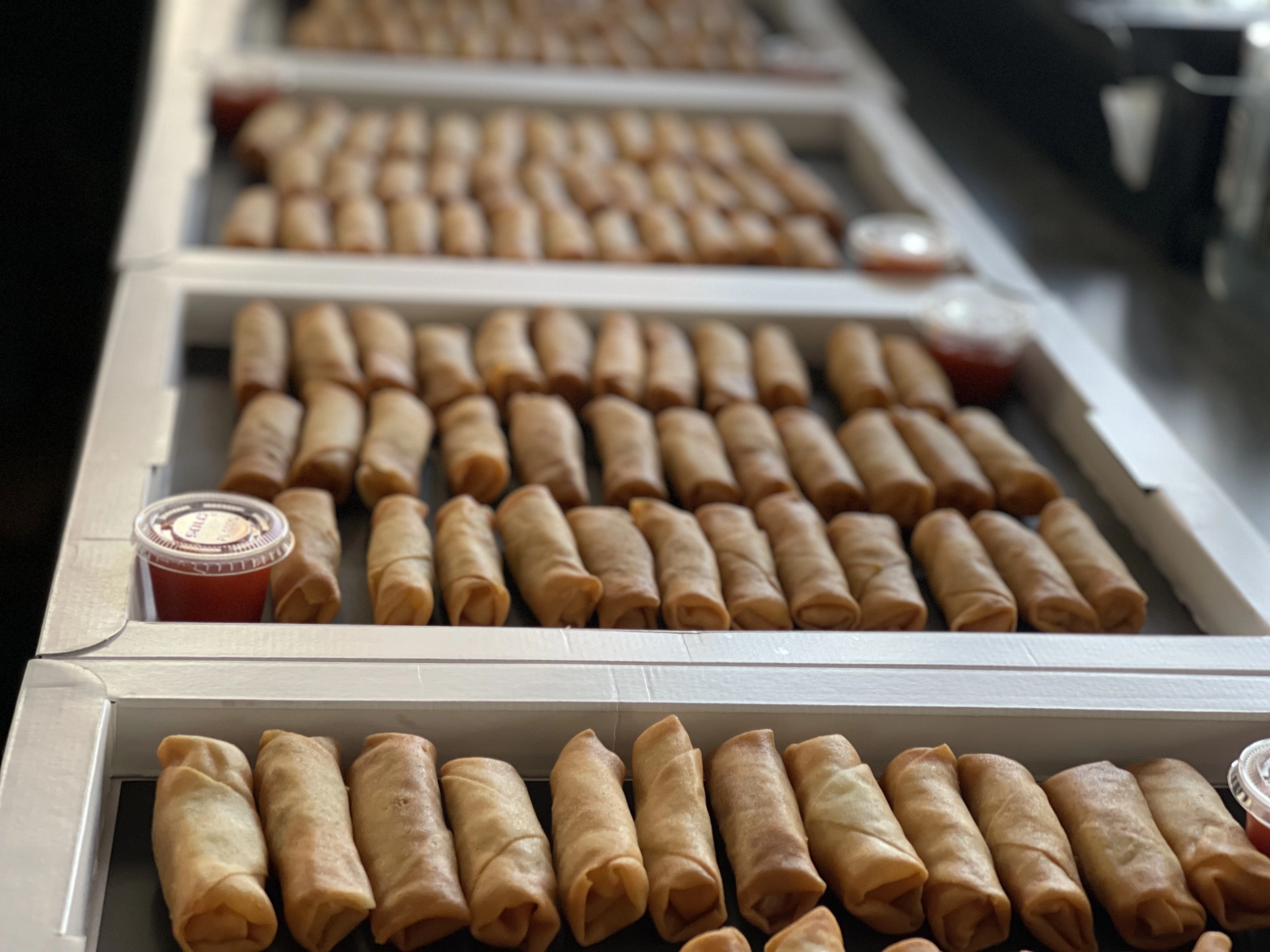 Crispy Vegetarian Spring Rolls