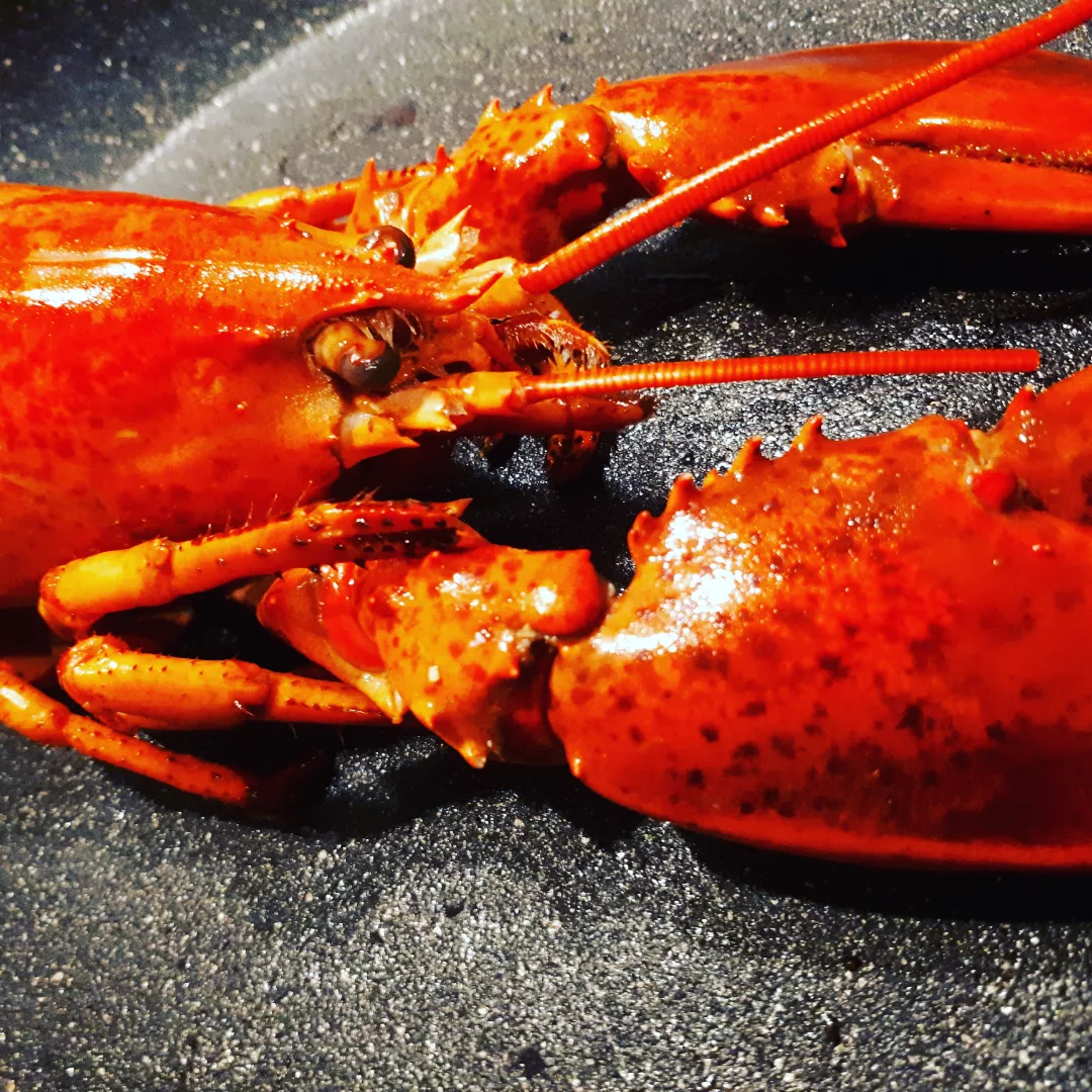 Lobster Bisque Tagliatelle