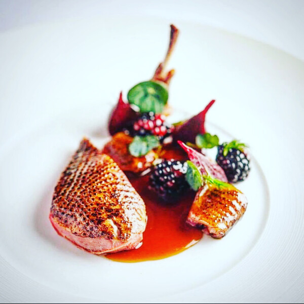 Chef Jess Steve R's cover image