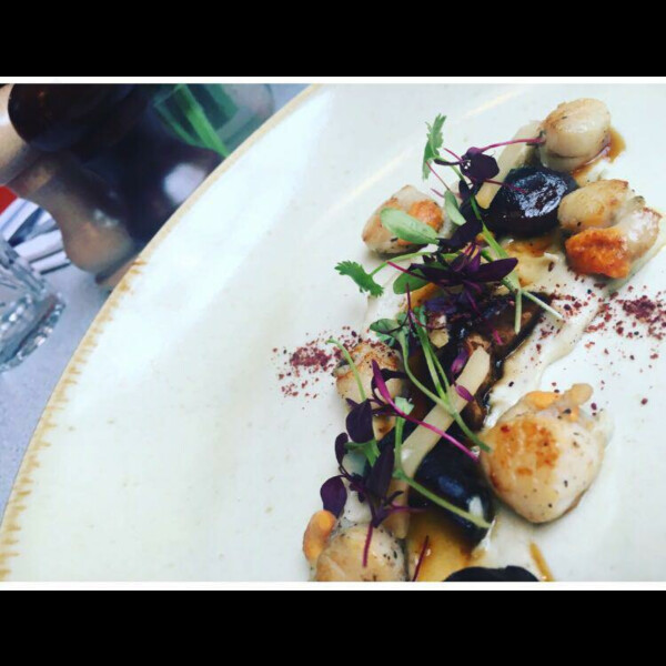 Chef Jess Steve R's 10th gallery image