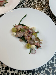 Carola W's 1st gallery image