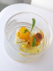 alexander b's 1st gallery image
