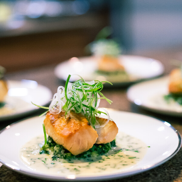 Chef Seth & Gant M's 14th gallery image