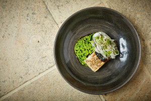 Steve L's 3rd gallery image
