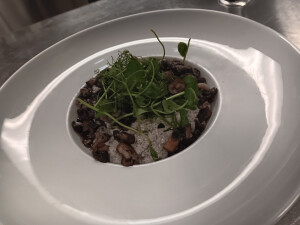 Cheryl D's 3rd gallery image