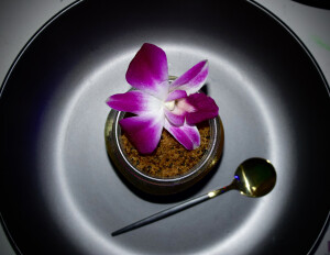 Josefina M's 2nd gallery image