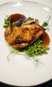 CAROLANN W's 3rd gallery image