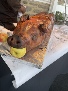 Phillip P's 4th gallery image