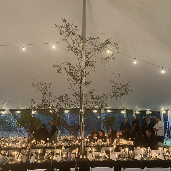 Keith K's 15th gallery image