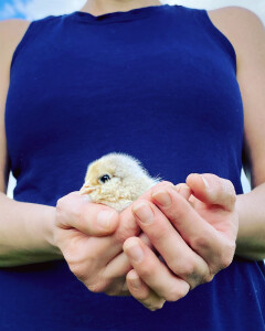 Michaela C's 1st gallery image