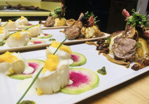 elizabeth a's 4th gallery image