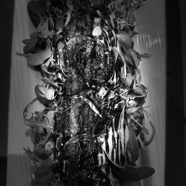 Fouad M's 356th gallery image