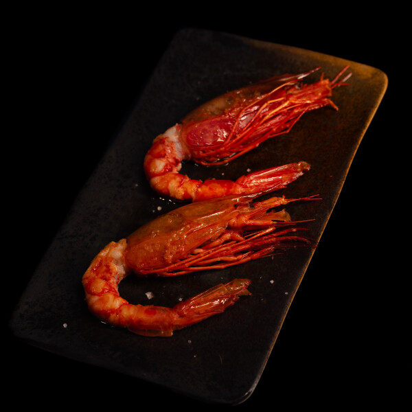Diogo P's 3rd gallery image
