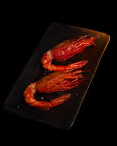 Diogo P's 3rd gallery image