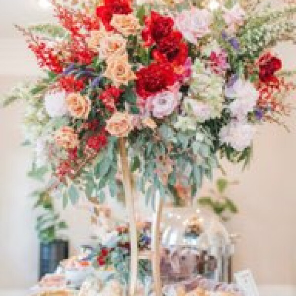Holli T's 48th gallery image