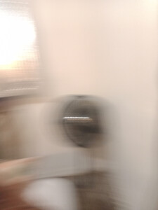 Jeannine R's 1st gallery image
