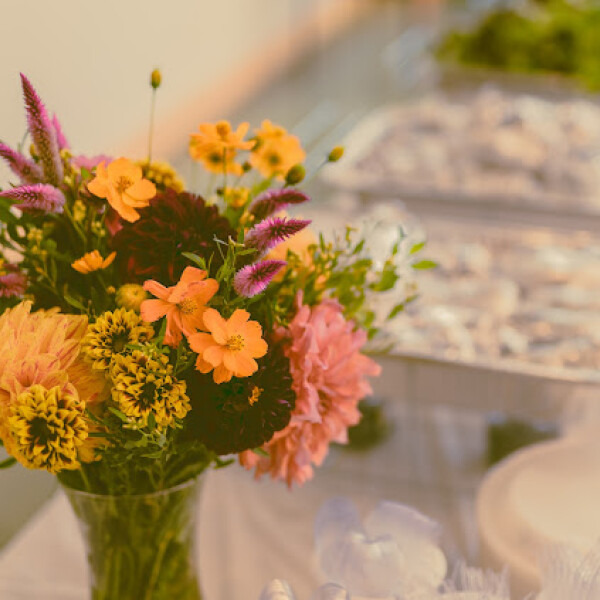 Ambrosia B's 18th gallery image