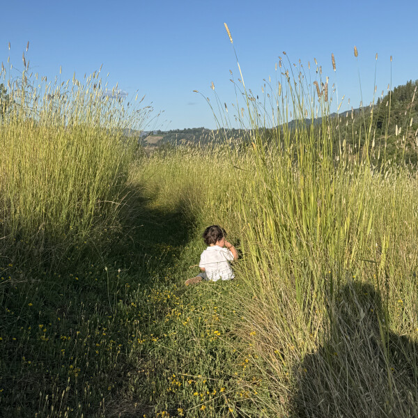 Reed B's cover image