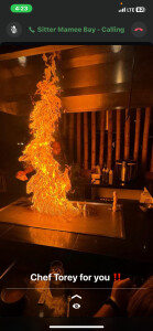 Chef Torey g's profile image