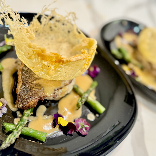Shabo E's cover image