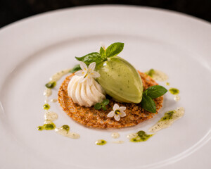 Alain Z's 1st gallery image