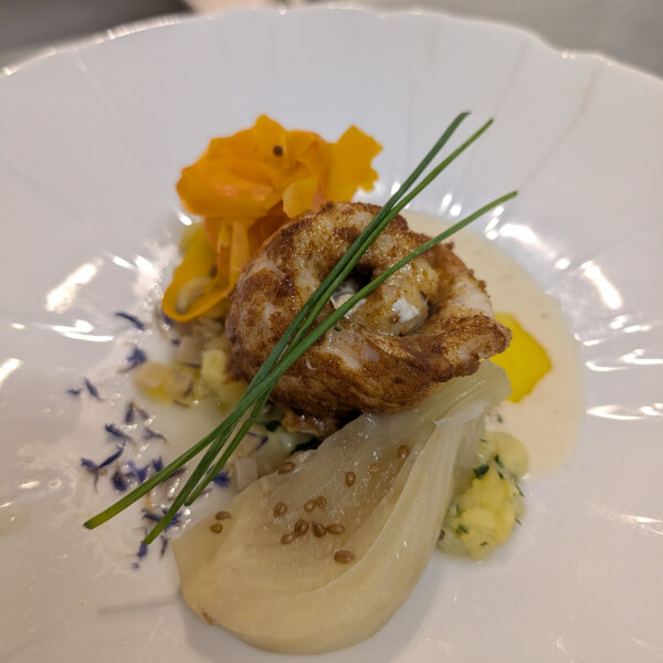 Joanna S's 15th gallery image