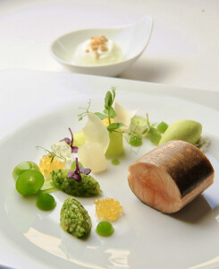 stephane o's 4th gallery image