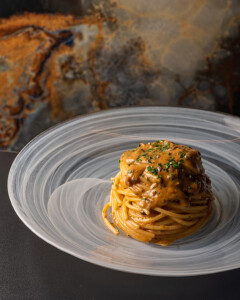 Nino C's 2nd gallery image