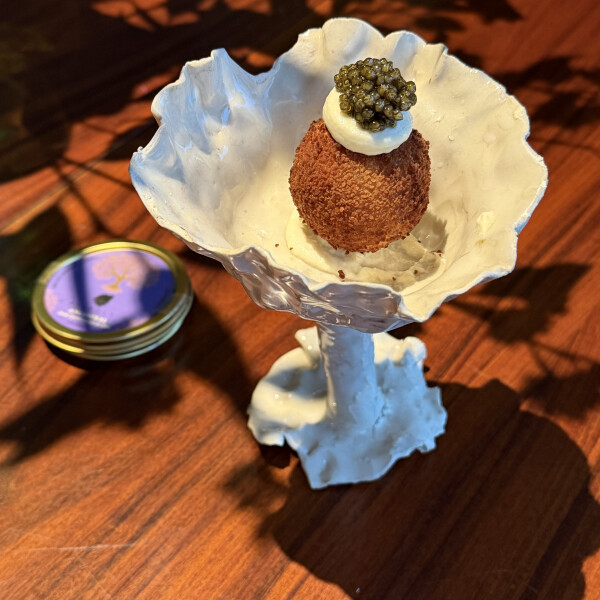 sayeh Z's 12th gallery image