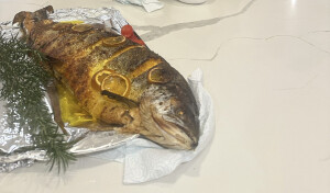 Hamed Z's 2nd gallery image