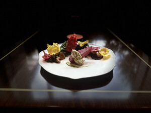 Matthew L's 4th gallery image