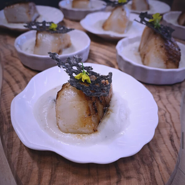 Joshua M's 72nd gallery image