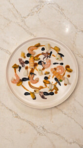 Jacopo T's 1st gallery image