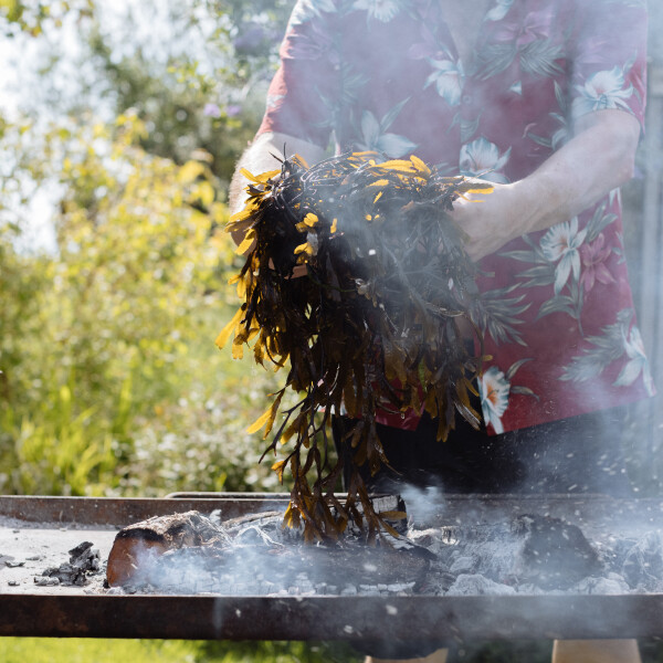 Martin K's 24th gallery image