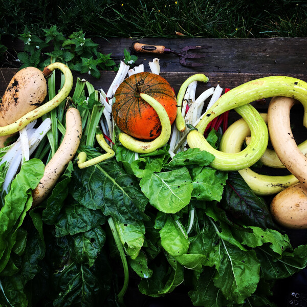 Anne-Marie M's 19th gallery image